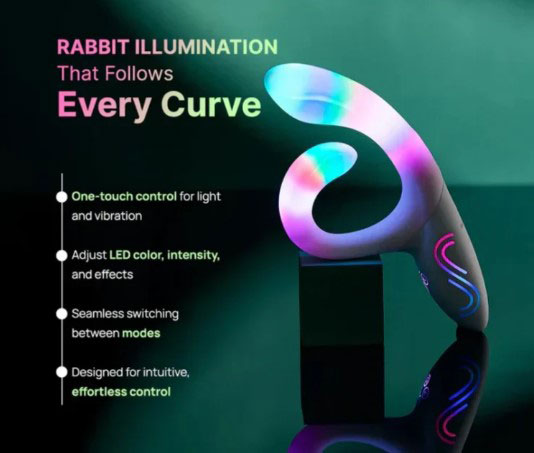 Paradise - Illumination the Rabbit - Image 3